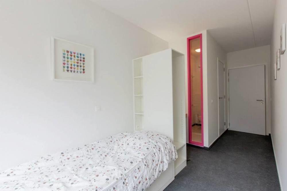 Albergue The Ash Amberes Exterior foto